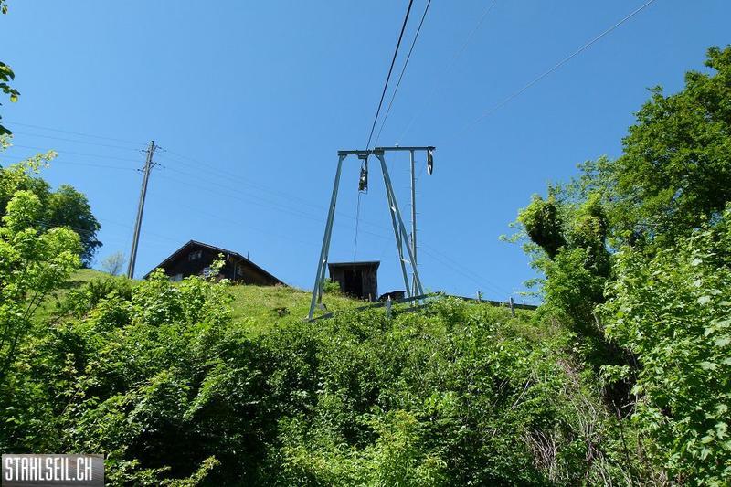 800P-P1490731.JPG