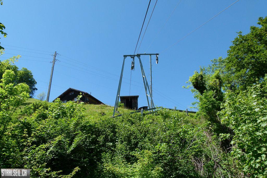 800P-P1490731.JPG