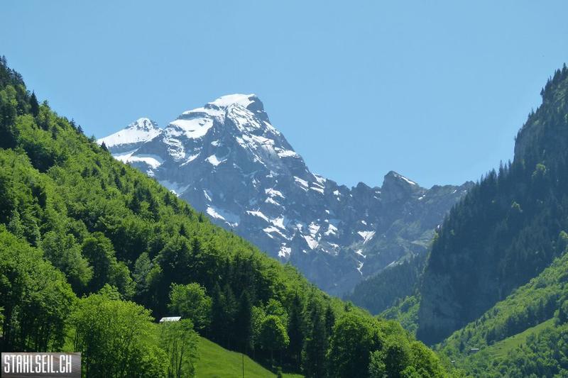 800P-P1490749.JPG