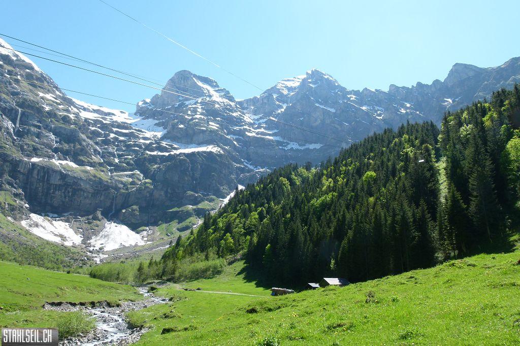 800P-P1490752.JPG