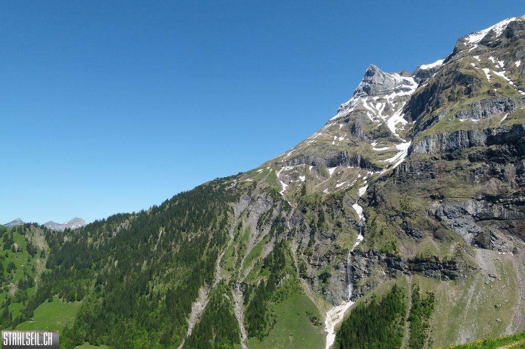 800P-P1490773.JPG