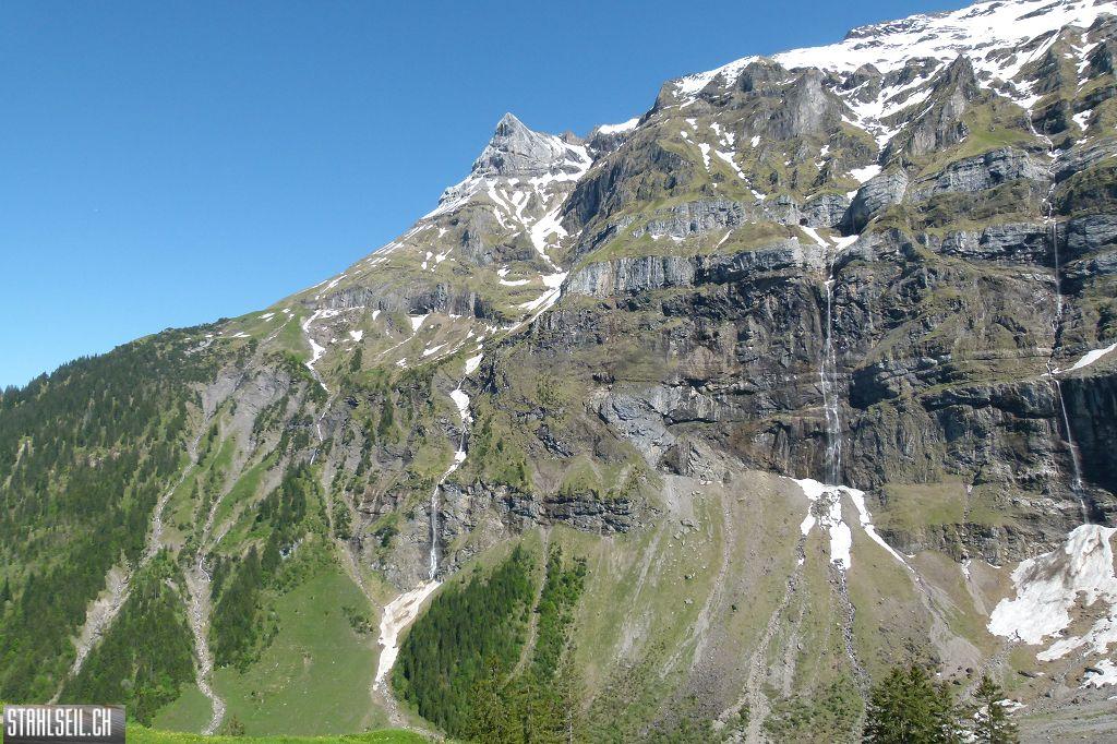 800P-P1490778.JPG