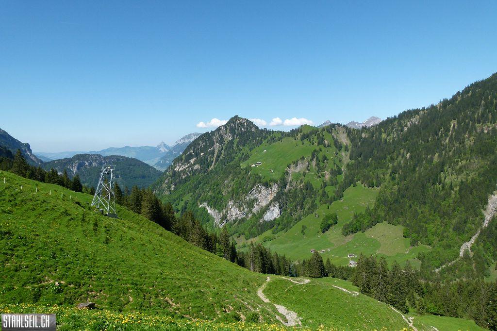 800P-P1490781.JPG