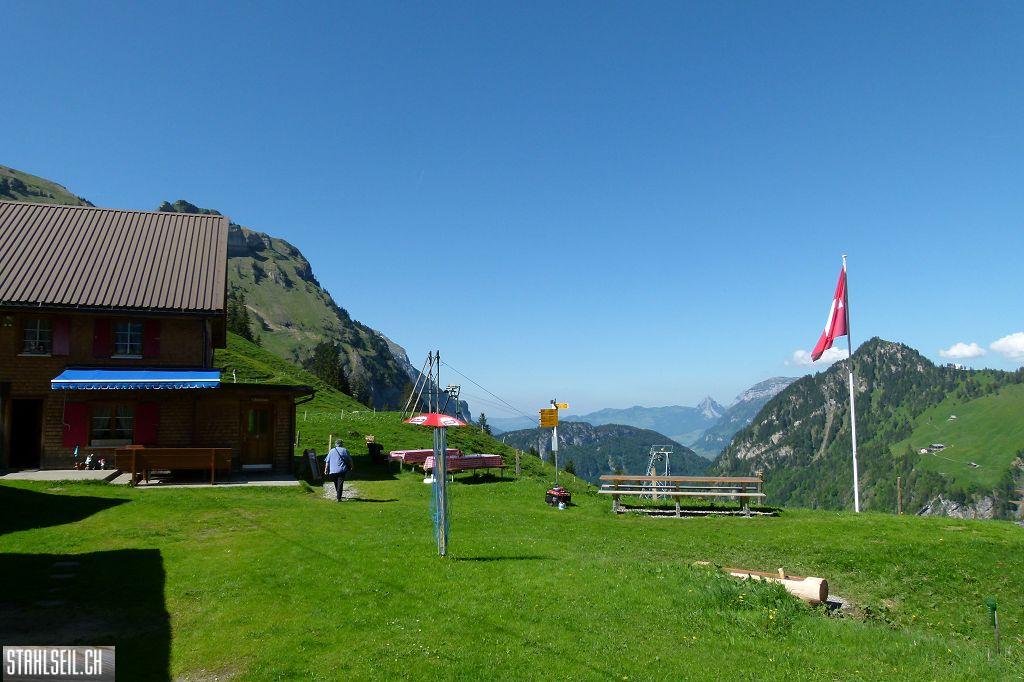 800P-P1490787.JPG