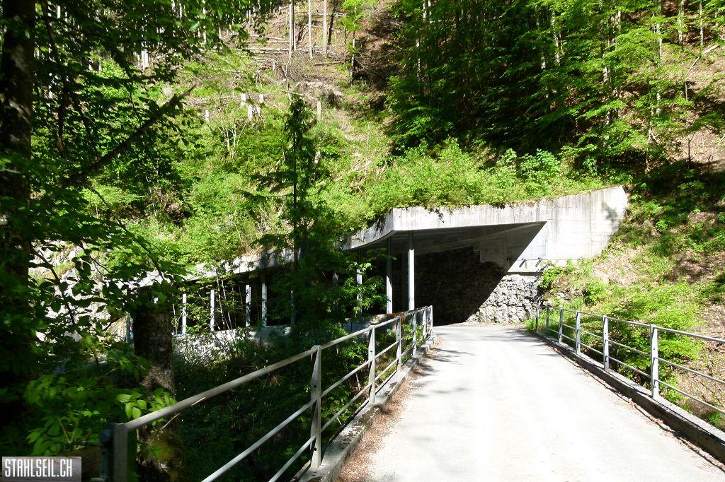 800P-P1490816.JPG