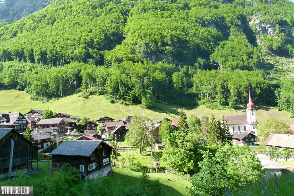 800P-P1490818.JPG