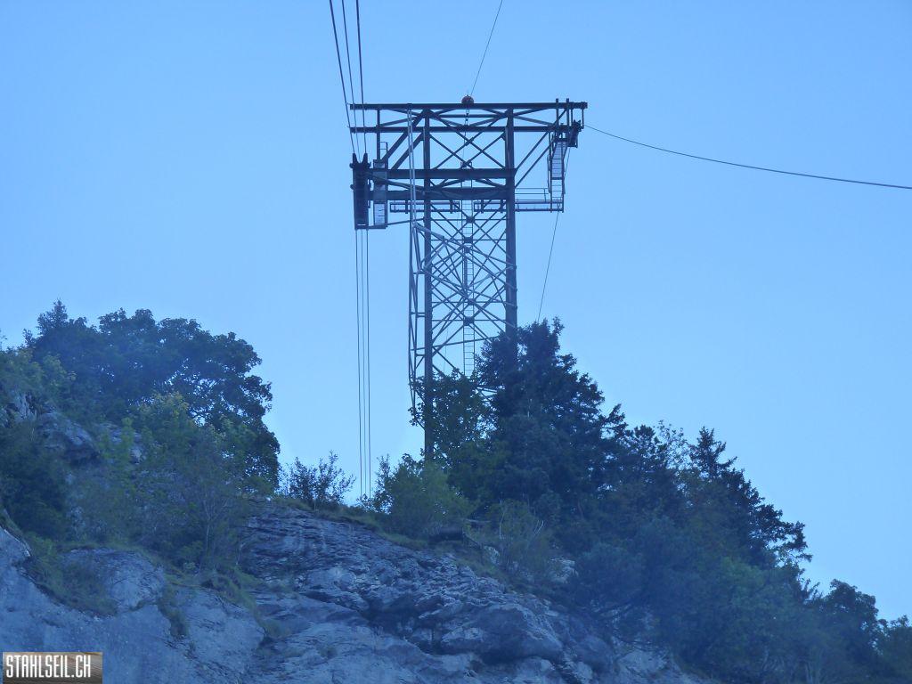 k-P1460544.JPG