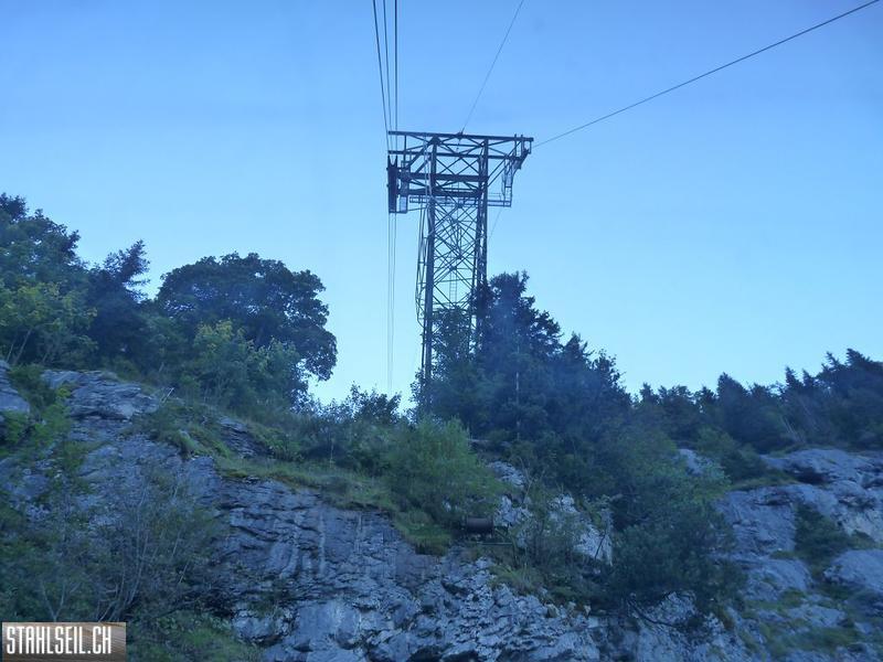 k-P1460545.JPG