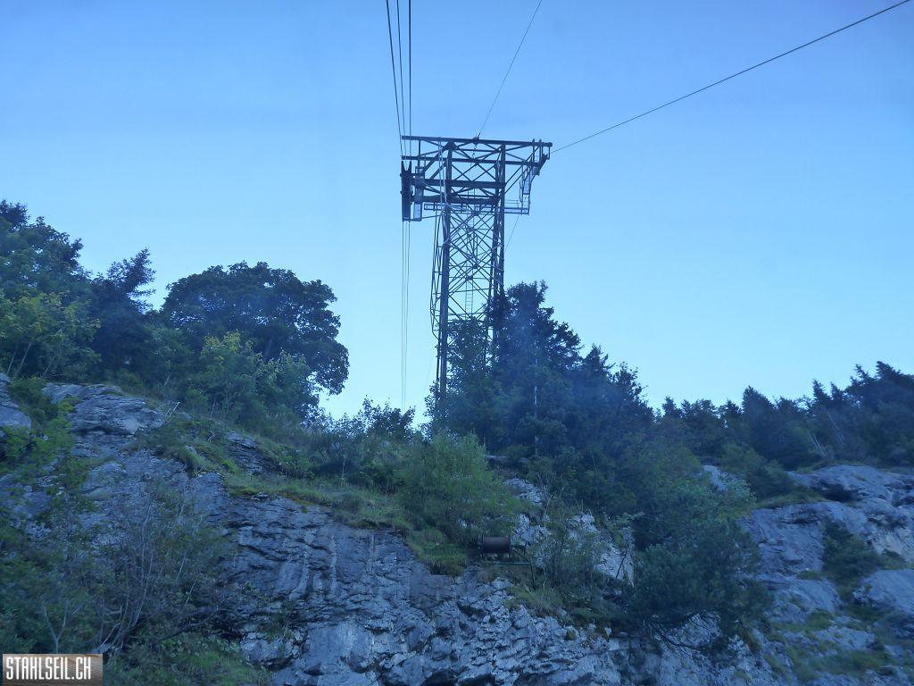 k-P1460545.JPG