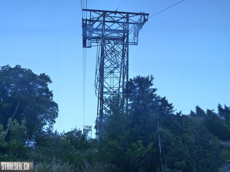 k-P1460546.JPG
