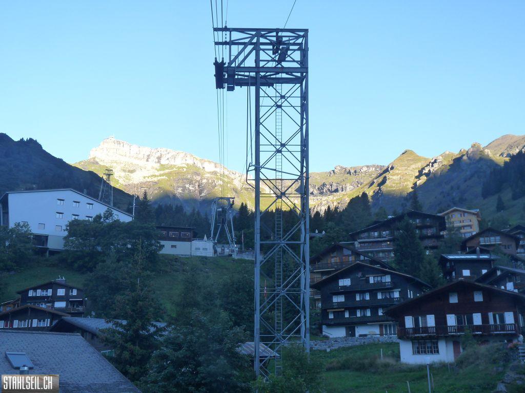 k-P1460550.JPG
