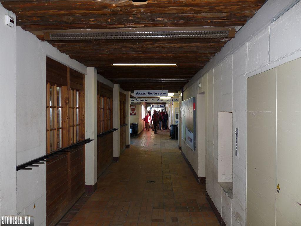 k-P1460572.JPG