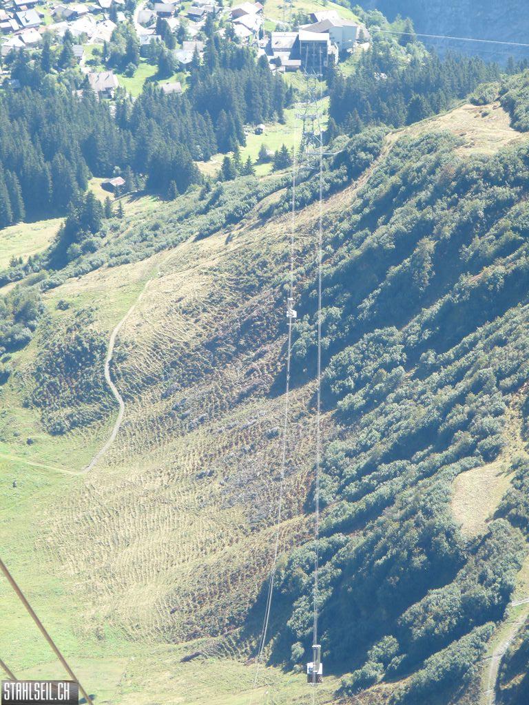 k-P1460762.JPG