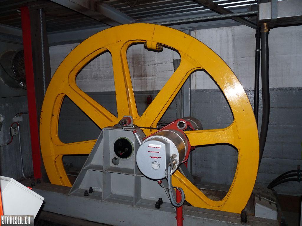 k-P1460811.JPG
