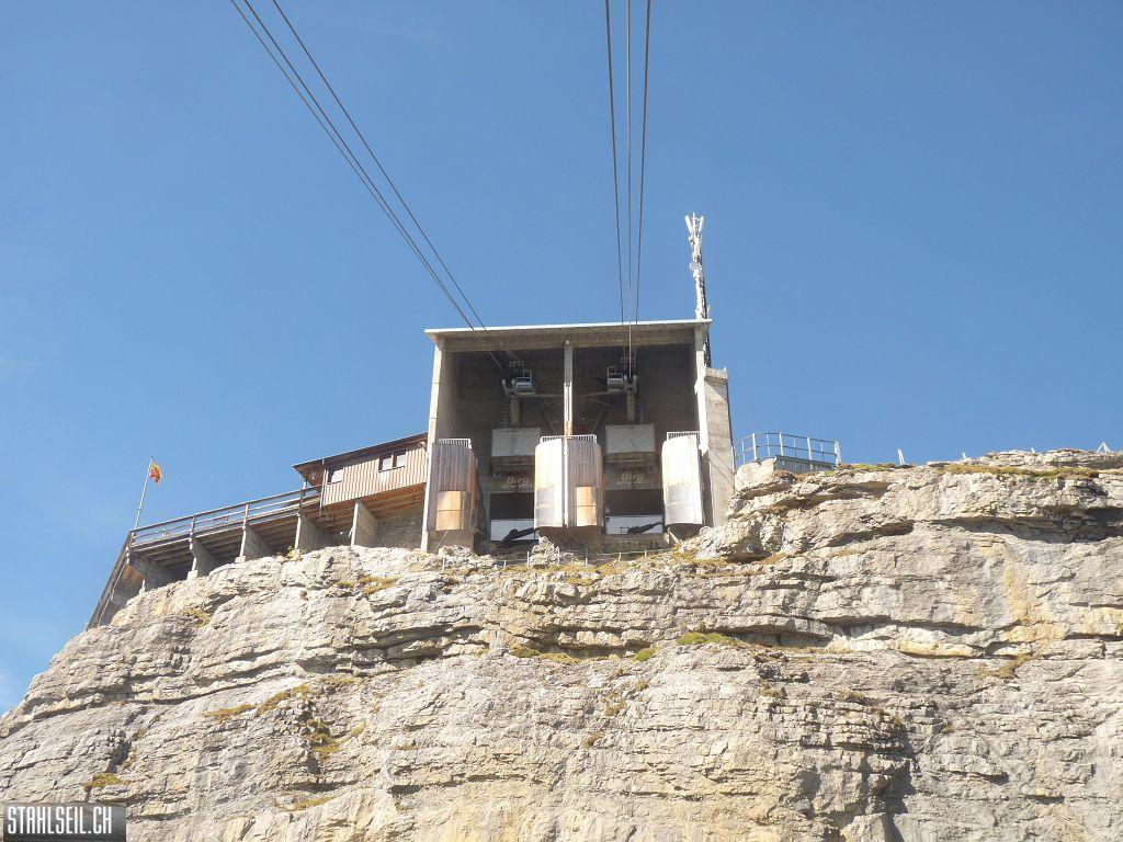 k-P1460849.JPG