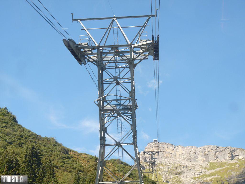 k-P1460854.JPG