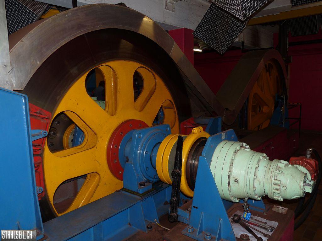 k-P1460894.JPG
