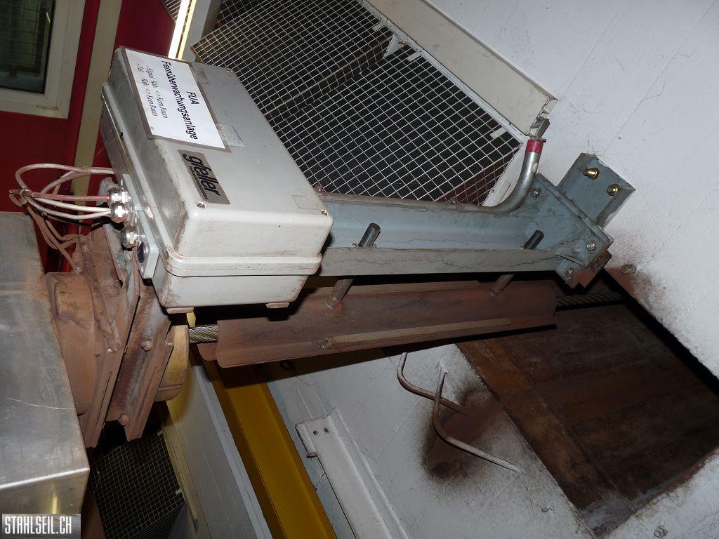 k-P1460896.JPG