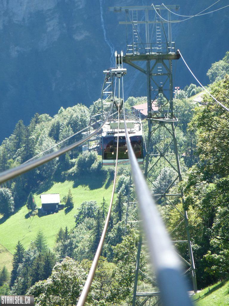 k-P1460949.JPG