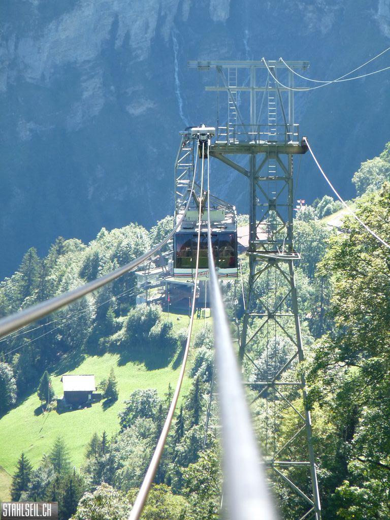 k-P1460950.JPG