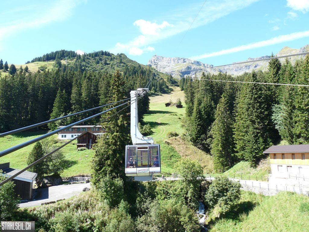 k-P1460959.JPG