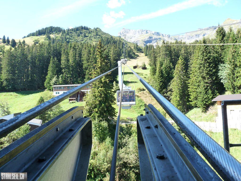 k-P1460974.JPG