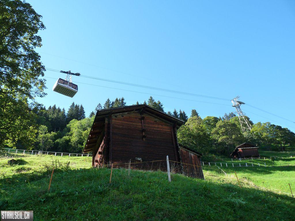 k-P1470108.JPG