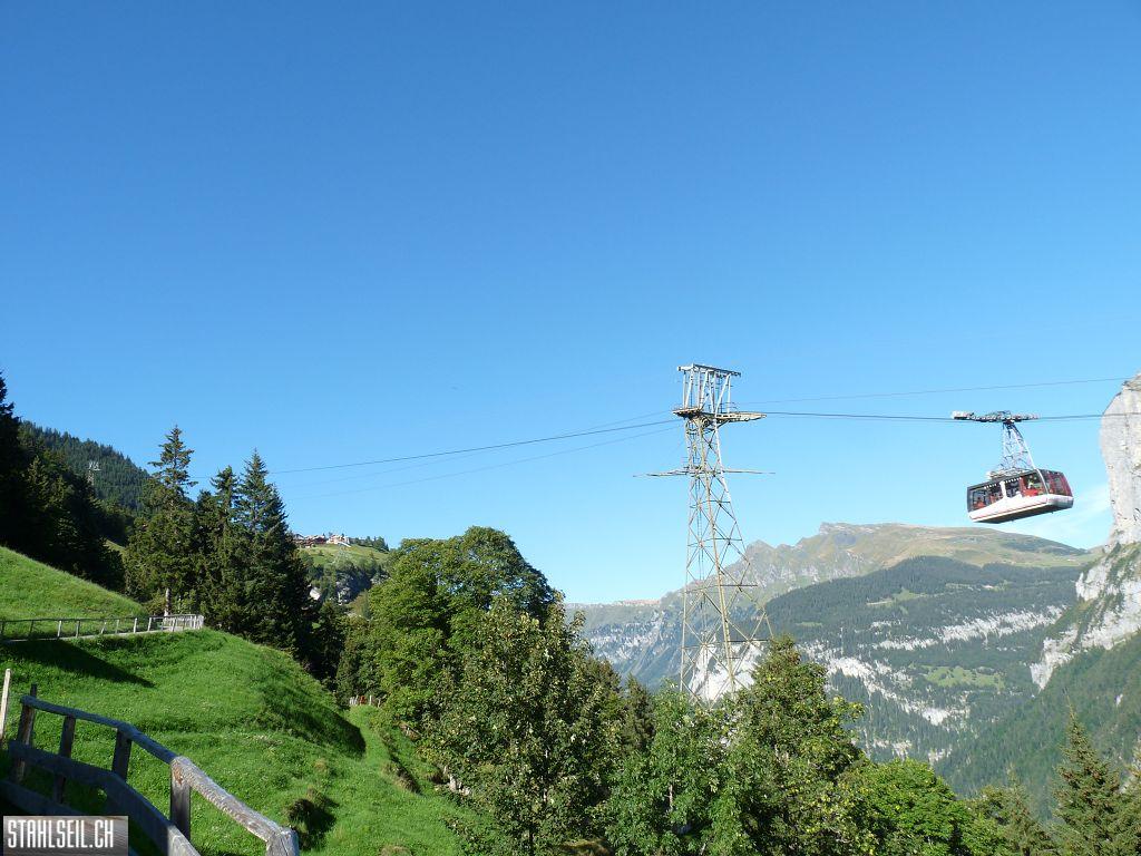 k-P1470141.JPG
