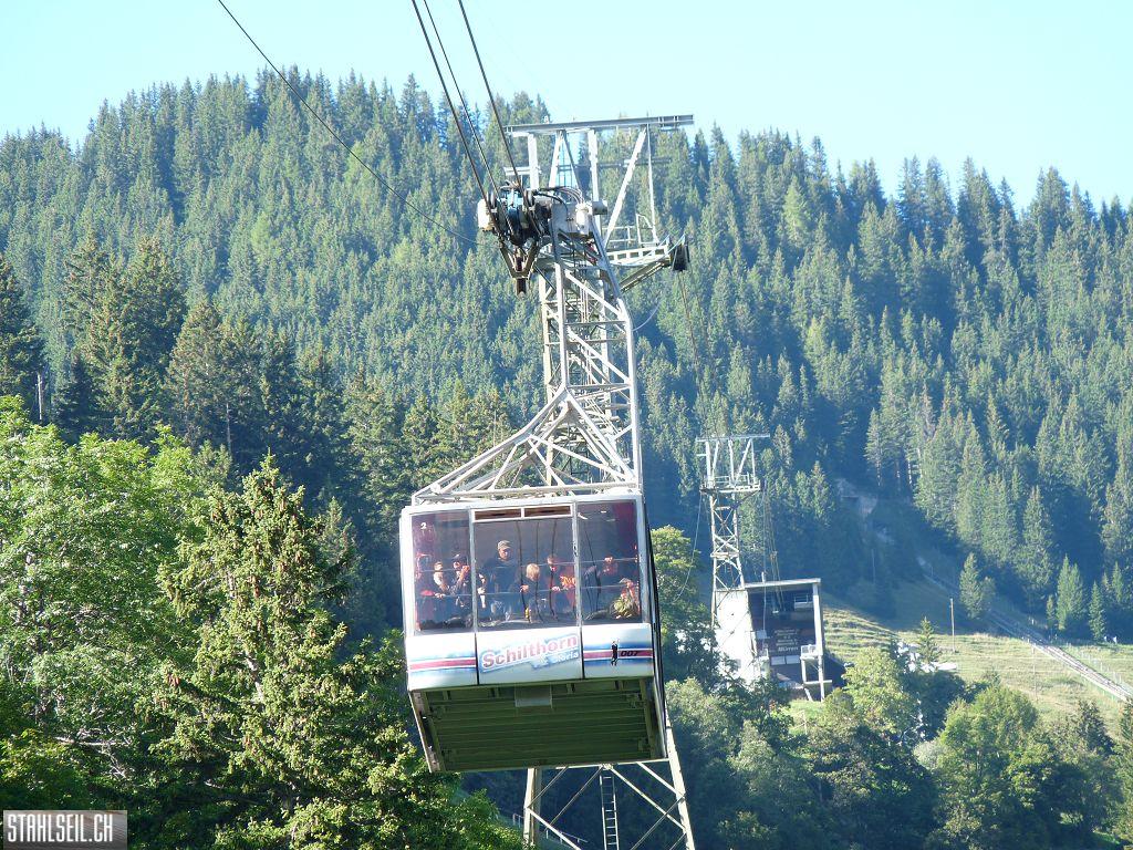 k-P1470154.JPG