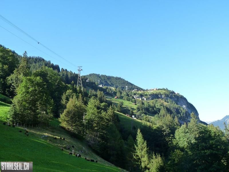 k-P1470177.JPG