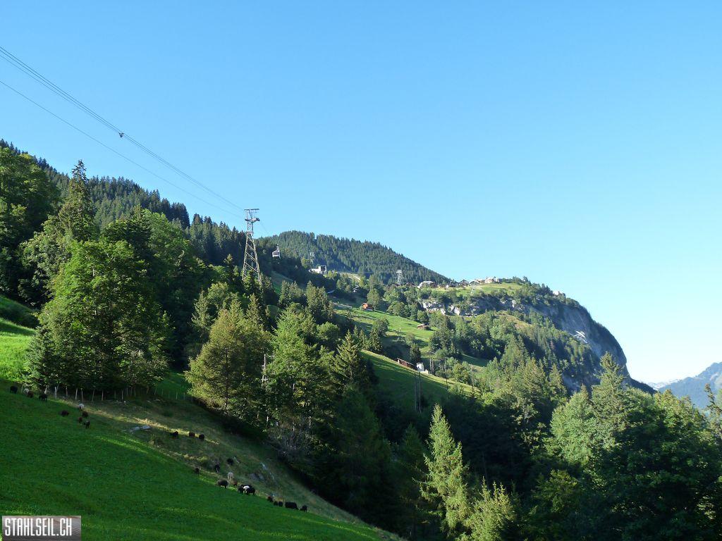 k-P1470177.JPG