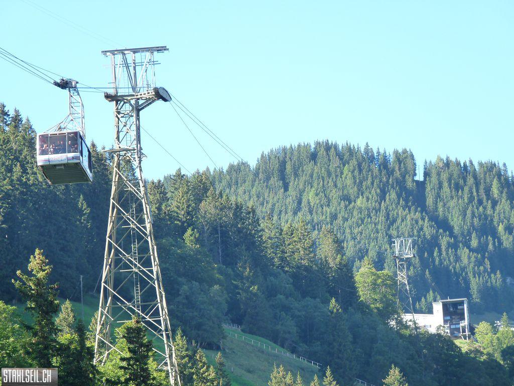 k-P1470179.JPG
