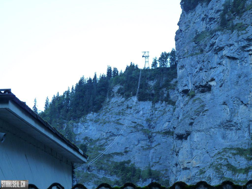 k-P1460539.JPG