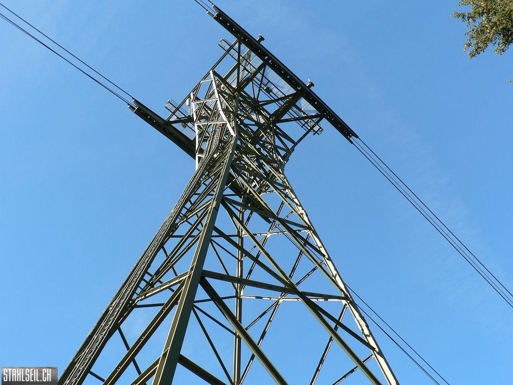 k-P1460485.JPG