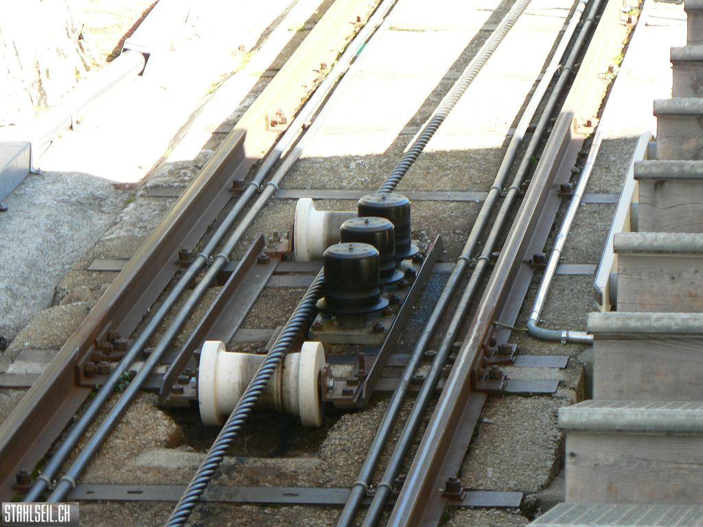 k-P1460664.JPG