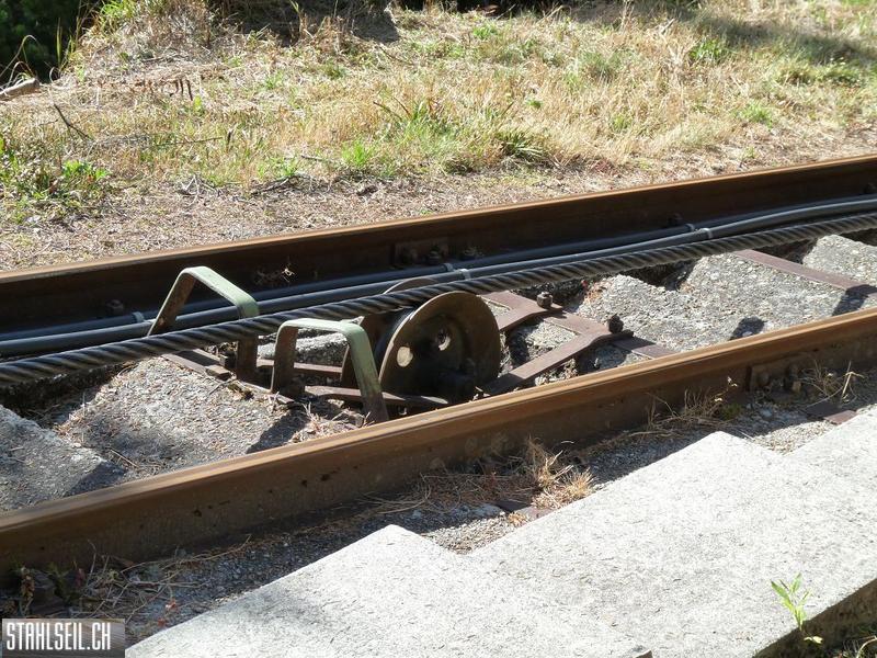 k-P1490089.JPG