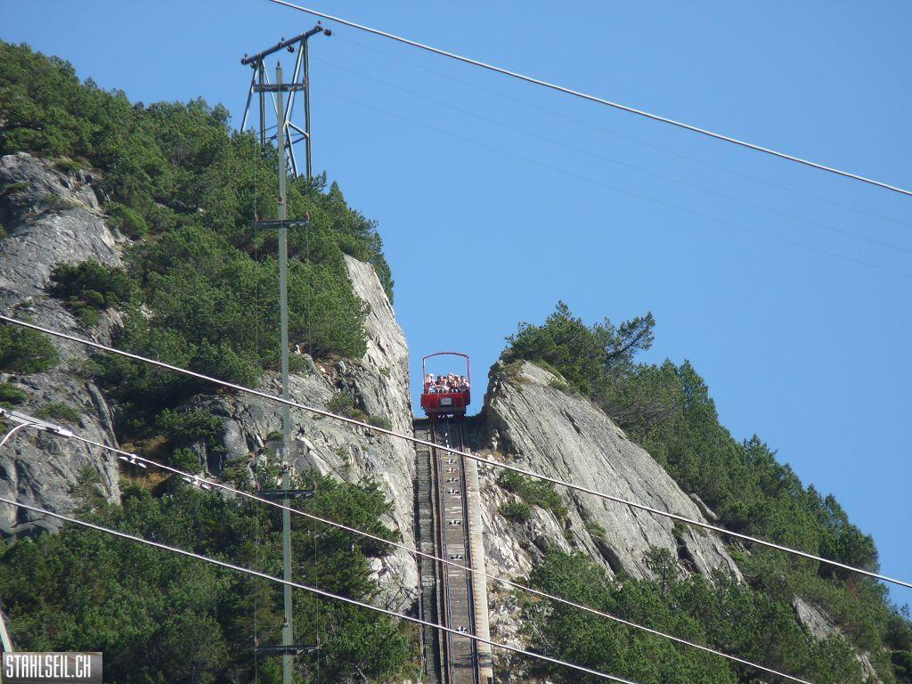 k-P1490093.JPG