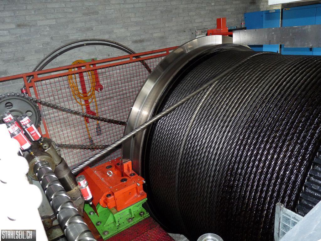 k-P1490135.JPG