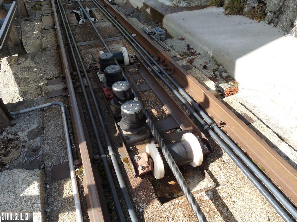 k-P1490144.JPG
