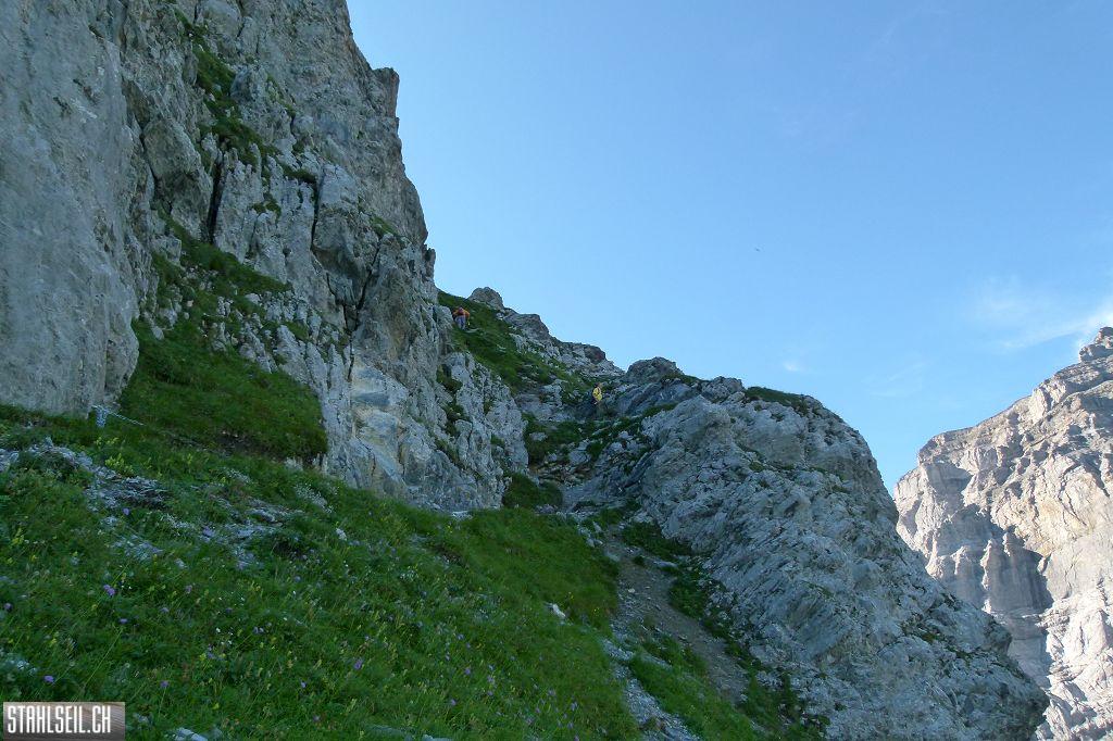 k-P1510338.JPG