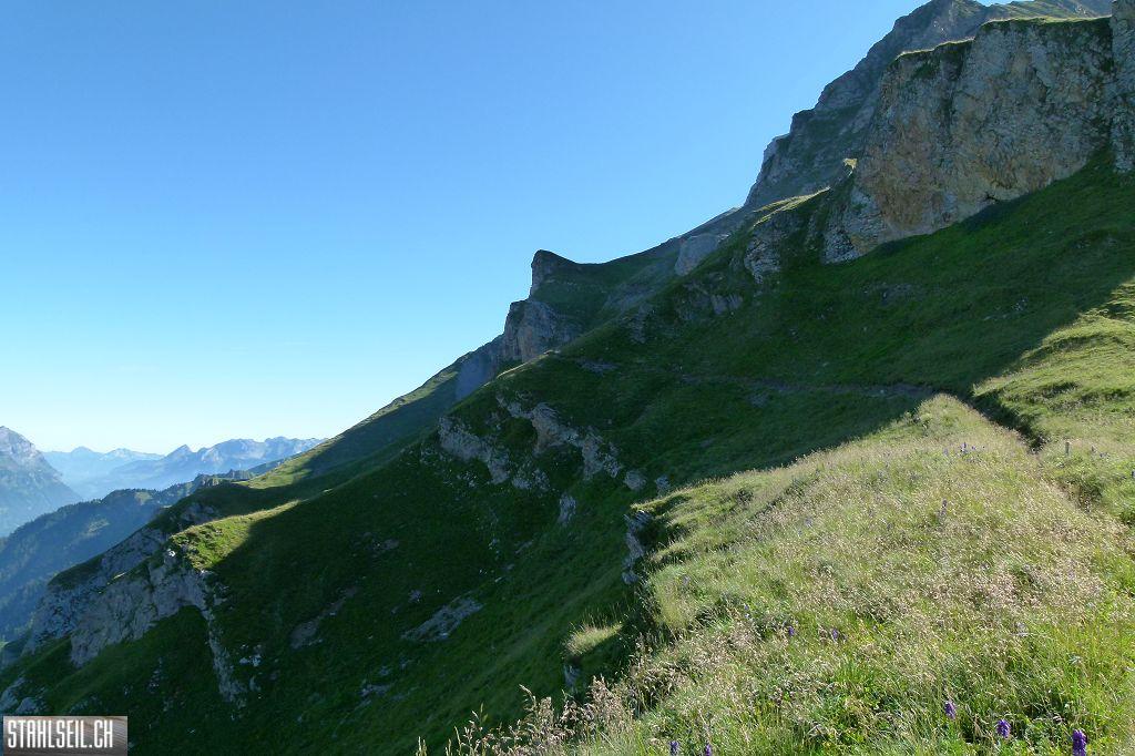 k-P1510349.JPG