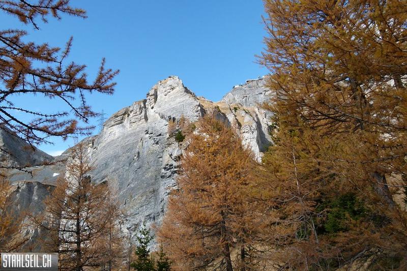 k-P1210744.JPG