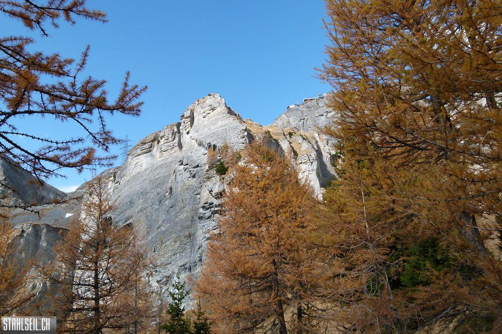 k-P1210744.JPG