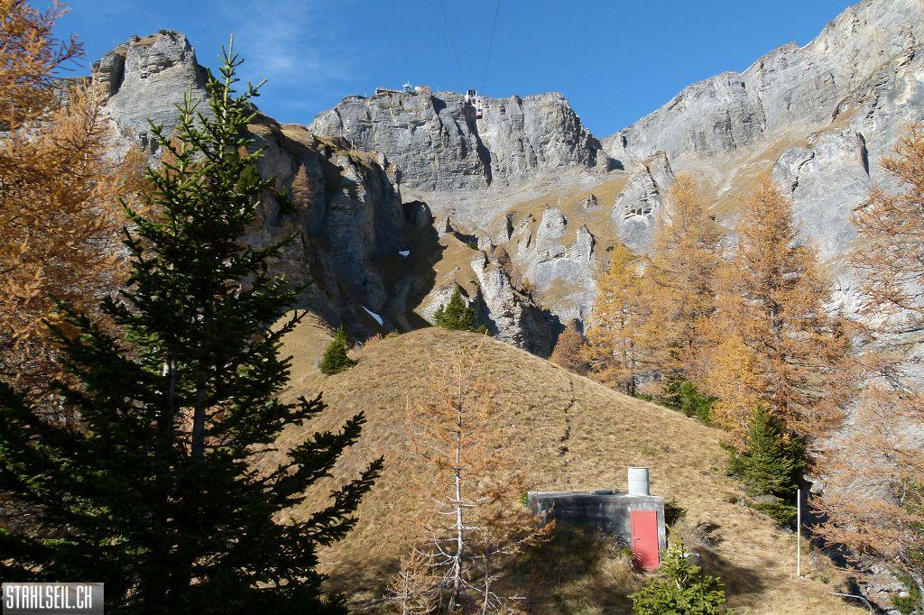 k-P1210823.JPG