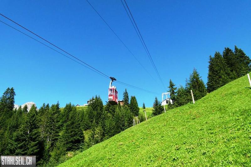k-P1520336.JPG