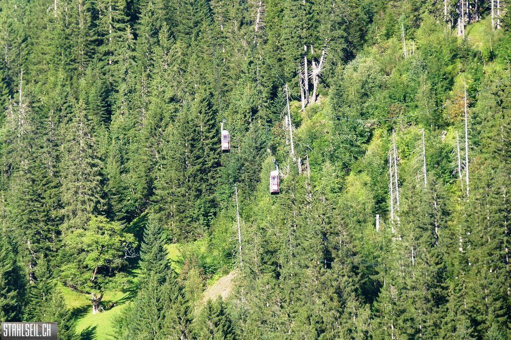 k-P1520549.JPG