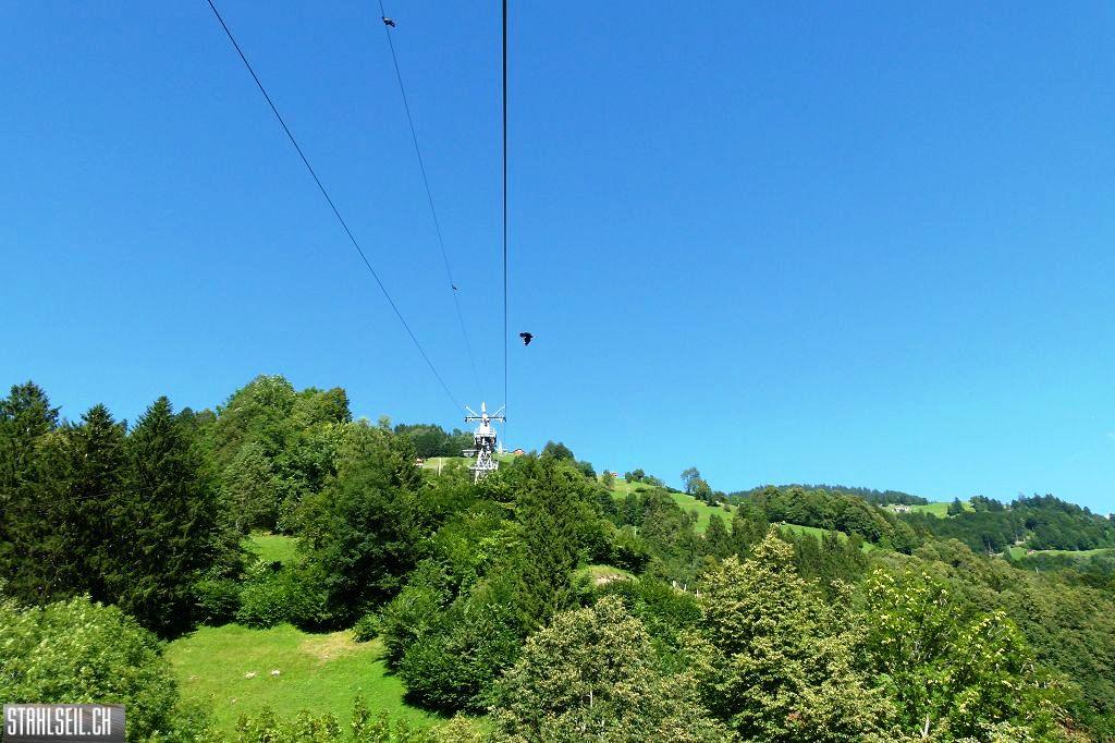 k-P1520299.JPG
