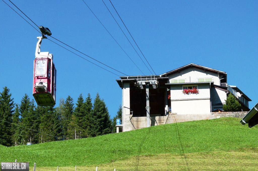 k-P1520389.JPG