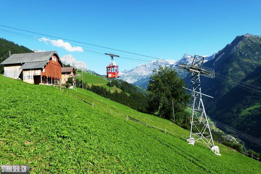 k-P1520428.JPG