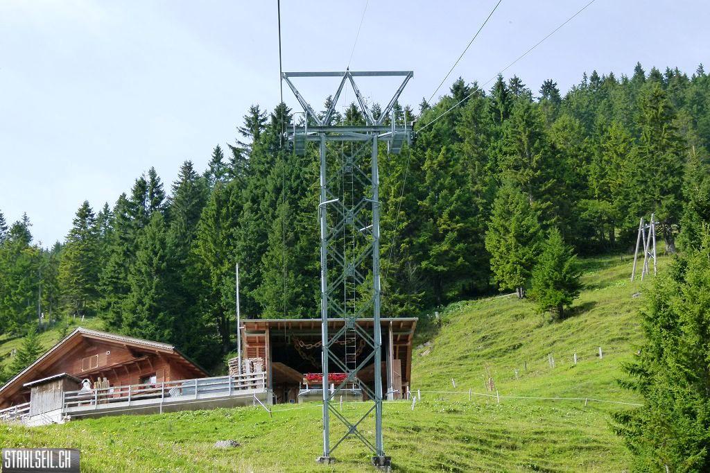 k-P1530463.JPG